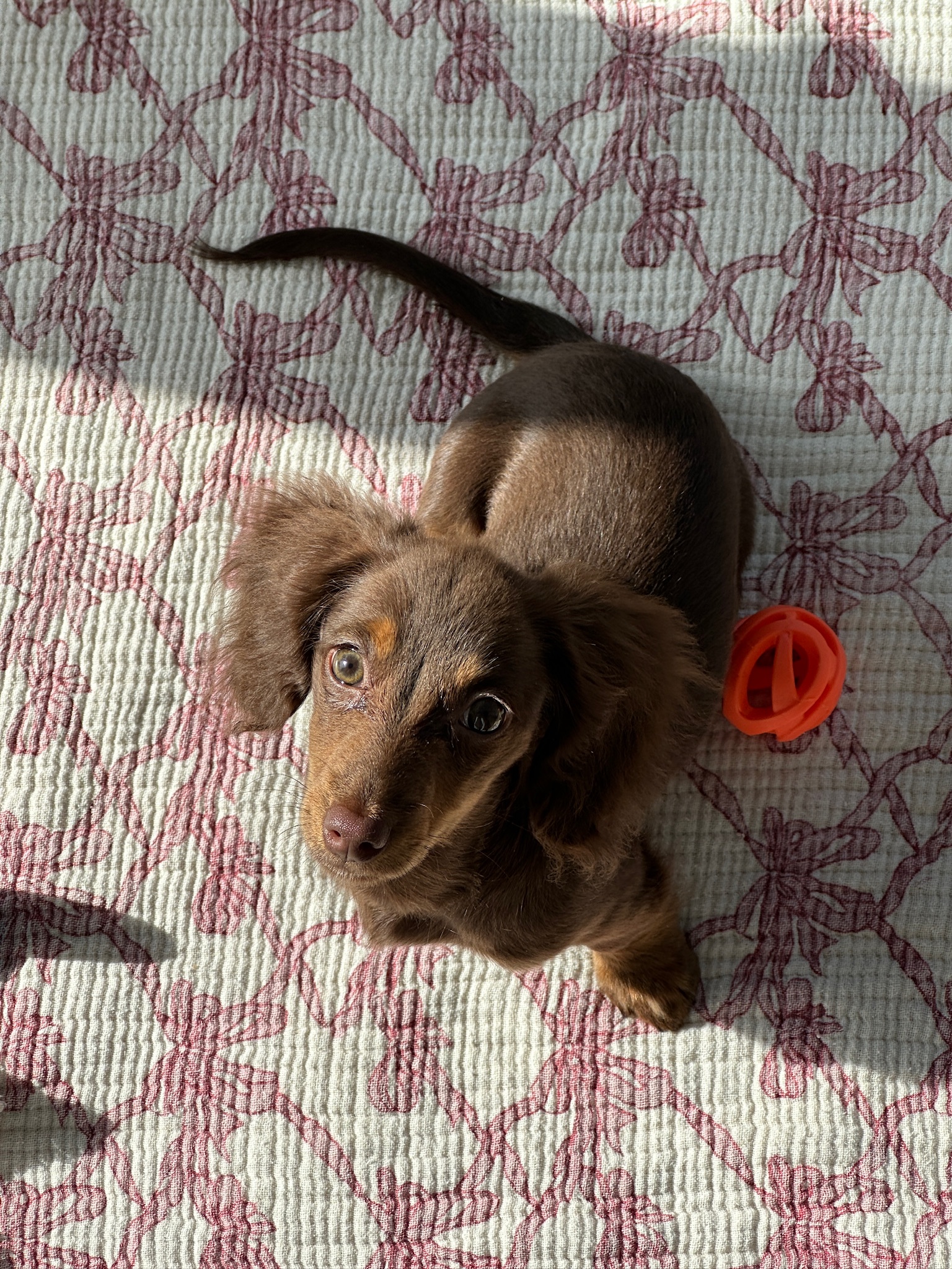This is Mila.