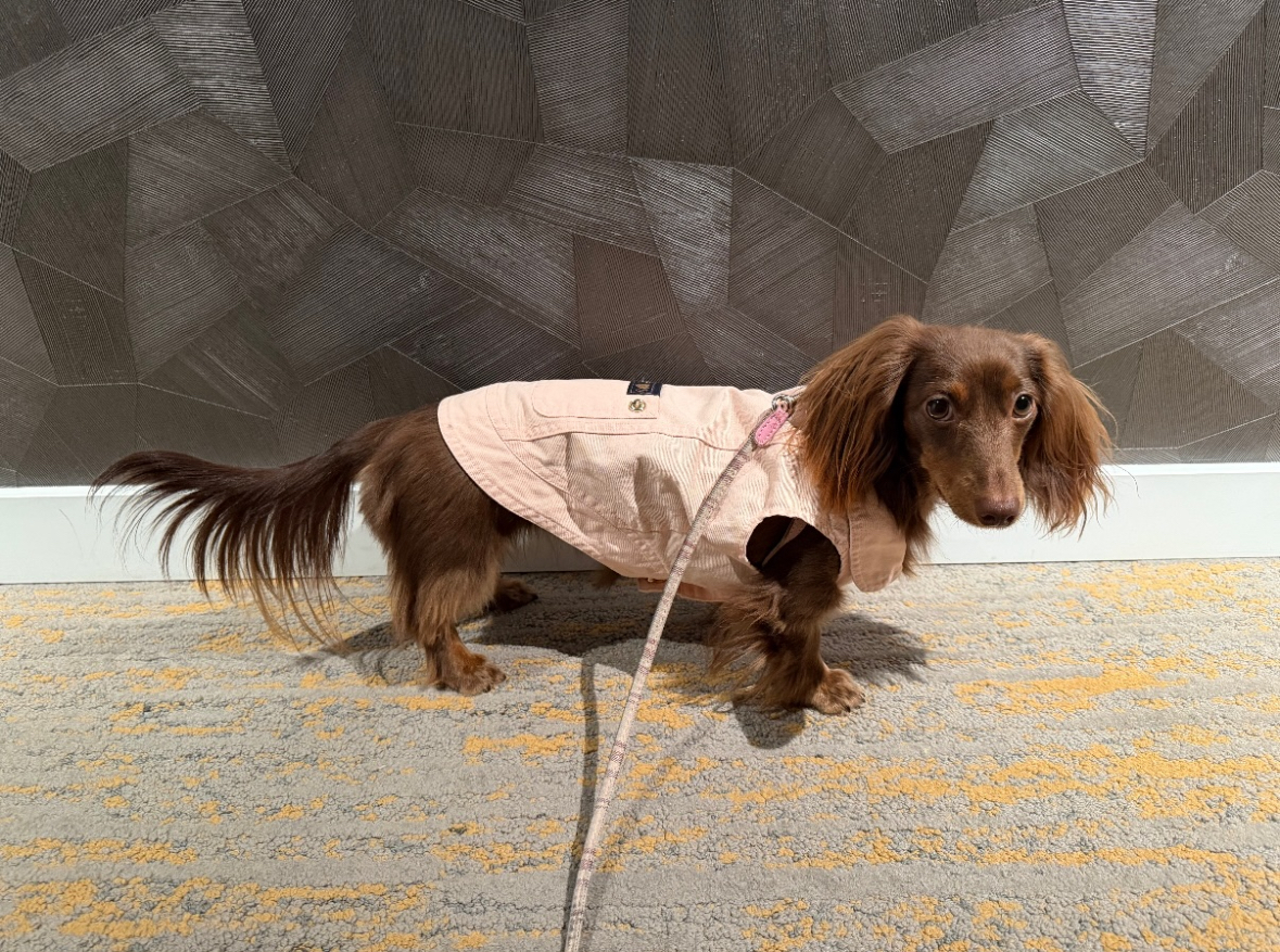 Me going out on a Walk